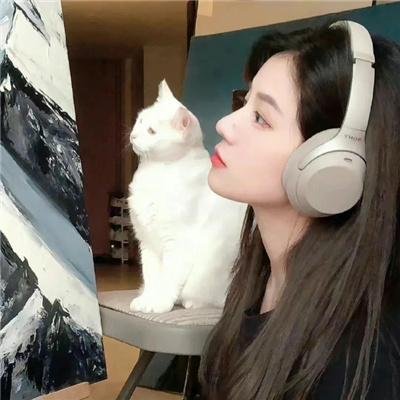 天降小人参，帅府宠上天