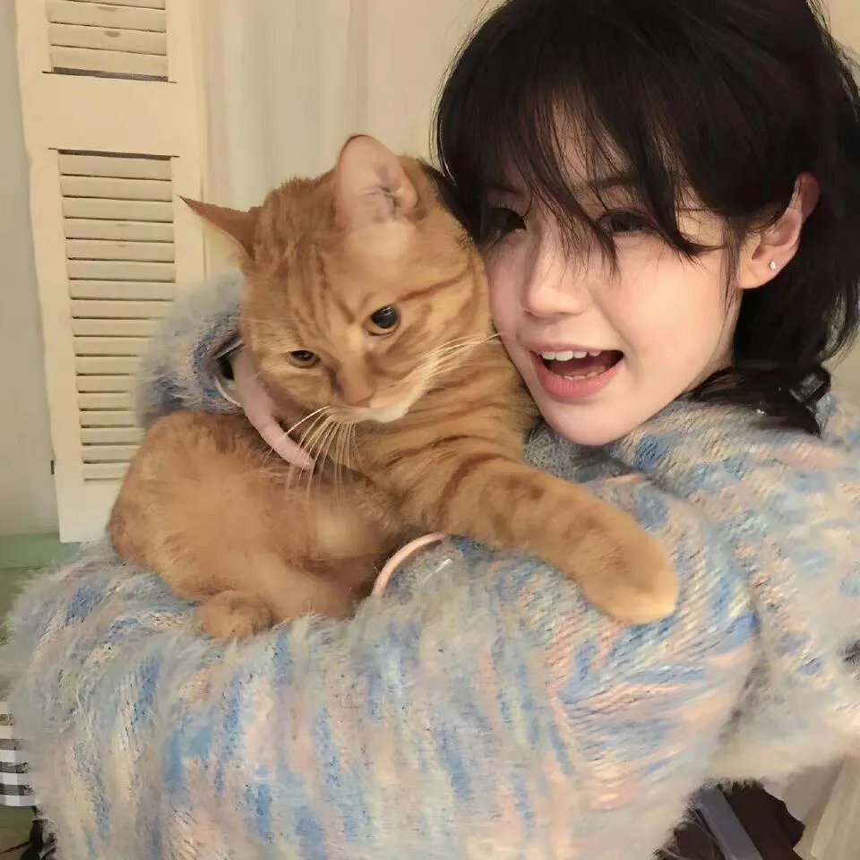 挪威的森林国语